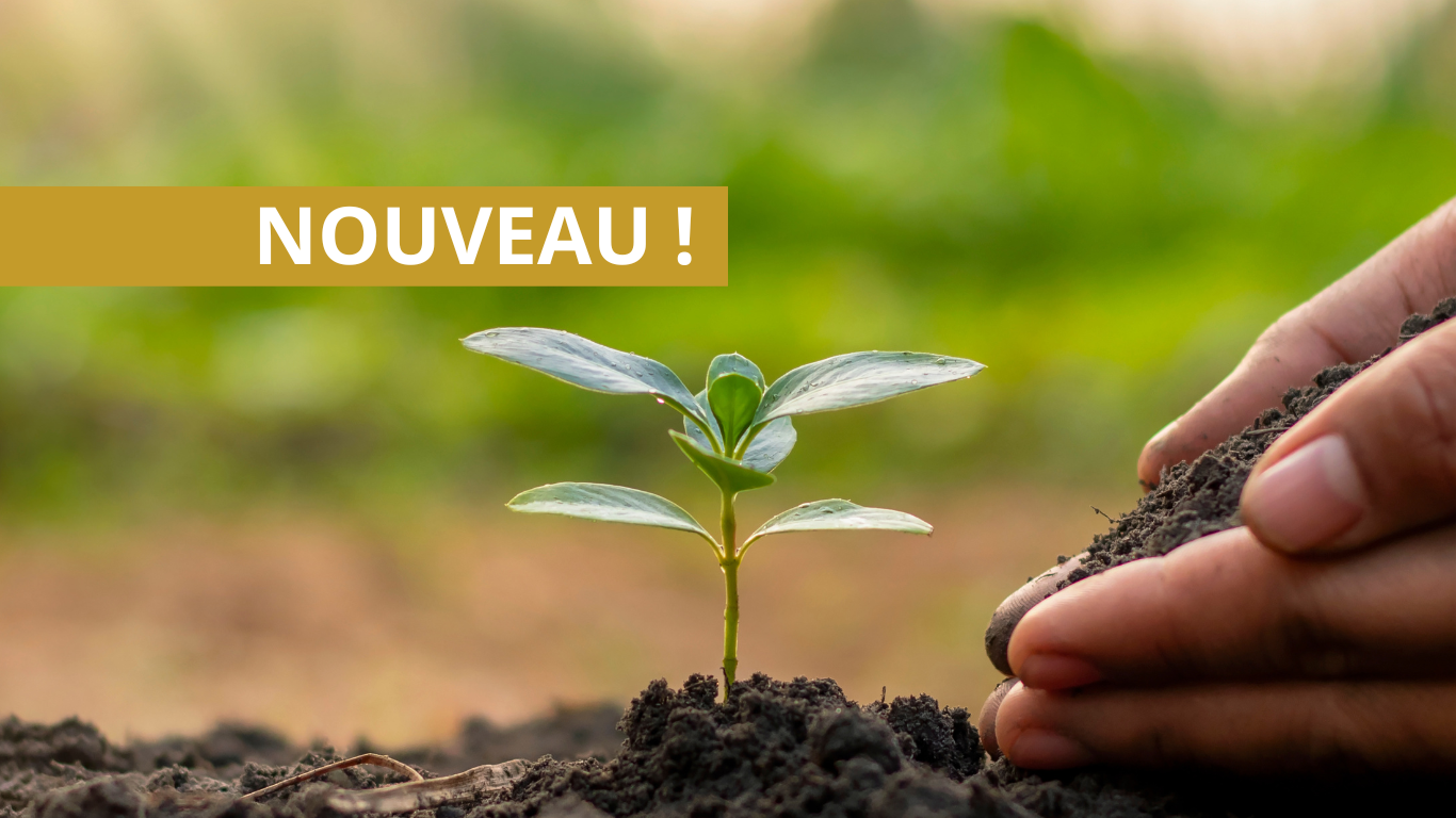 Comité consultatif en environnement Recrutement en cours Saint